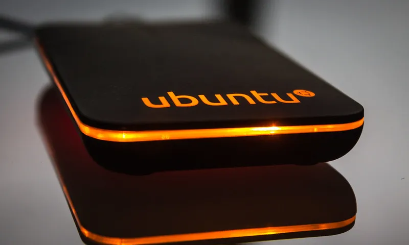 Fotografia d'un ratolí amb la marca Ubuntu. Imatge de David Junyent. Llicència d'ús CC BY NC ND 2.0