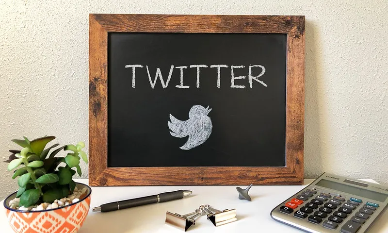 Fotomuntatge de Twitter. Imatge de Got Credit. Llicència d'ús CC BY 2.0