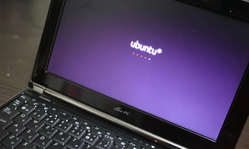 Fotografia d'un ordinador portàtil amb una versió d'Ubuntu. Imatge de Uka 0310. Lllicència d'us CC BY 2.0