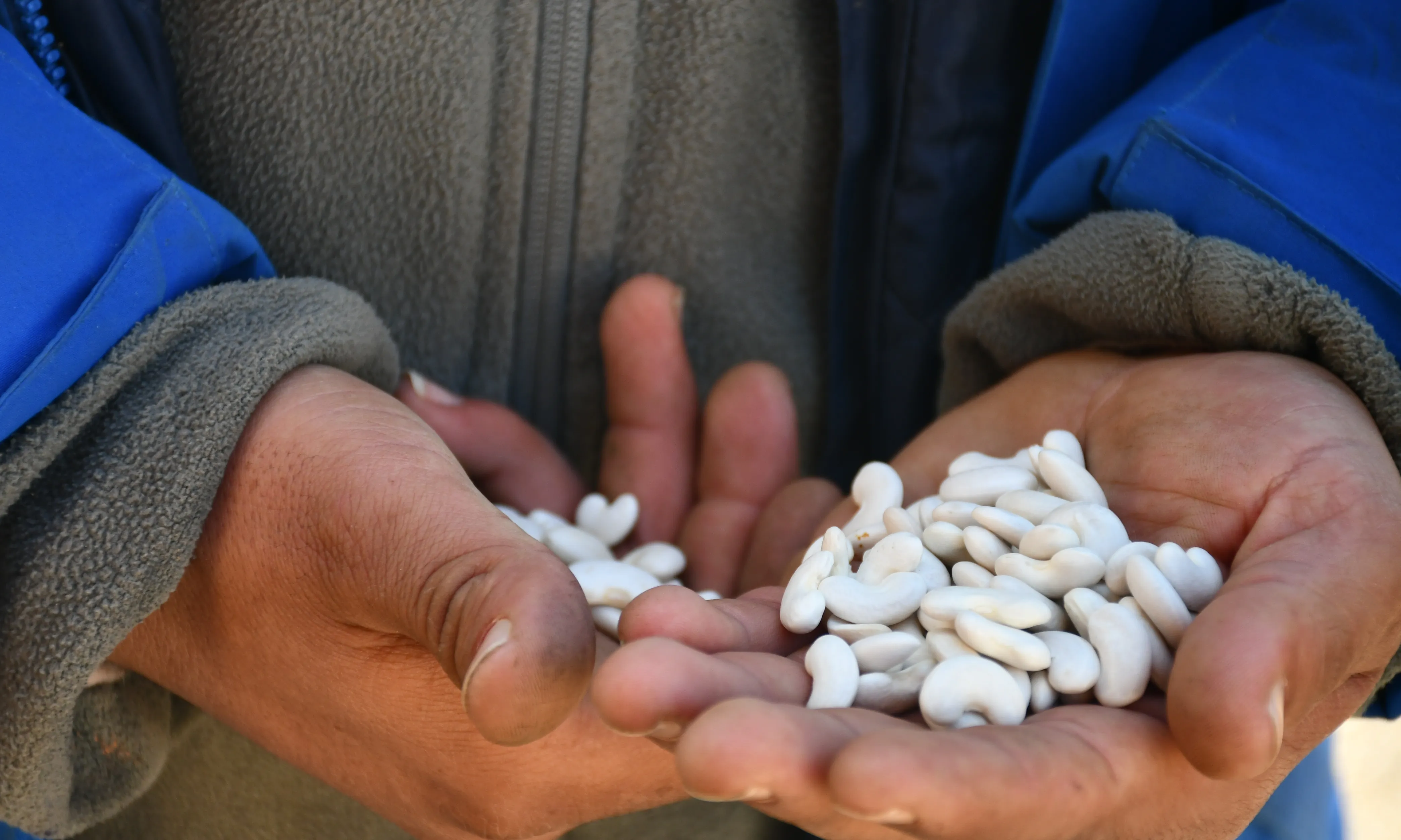 Tots els productes cultivats al projecte es comercialitzen sota la marca de la fundació, oferint menjar de proximitat i de temporada. Font: Suport Tercer Sector.