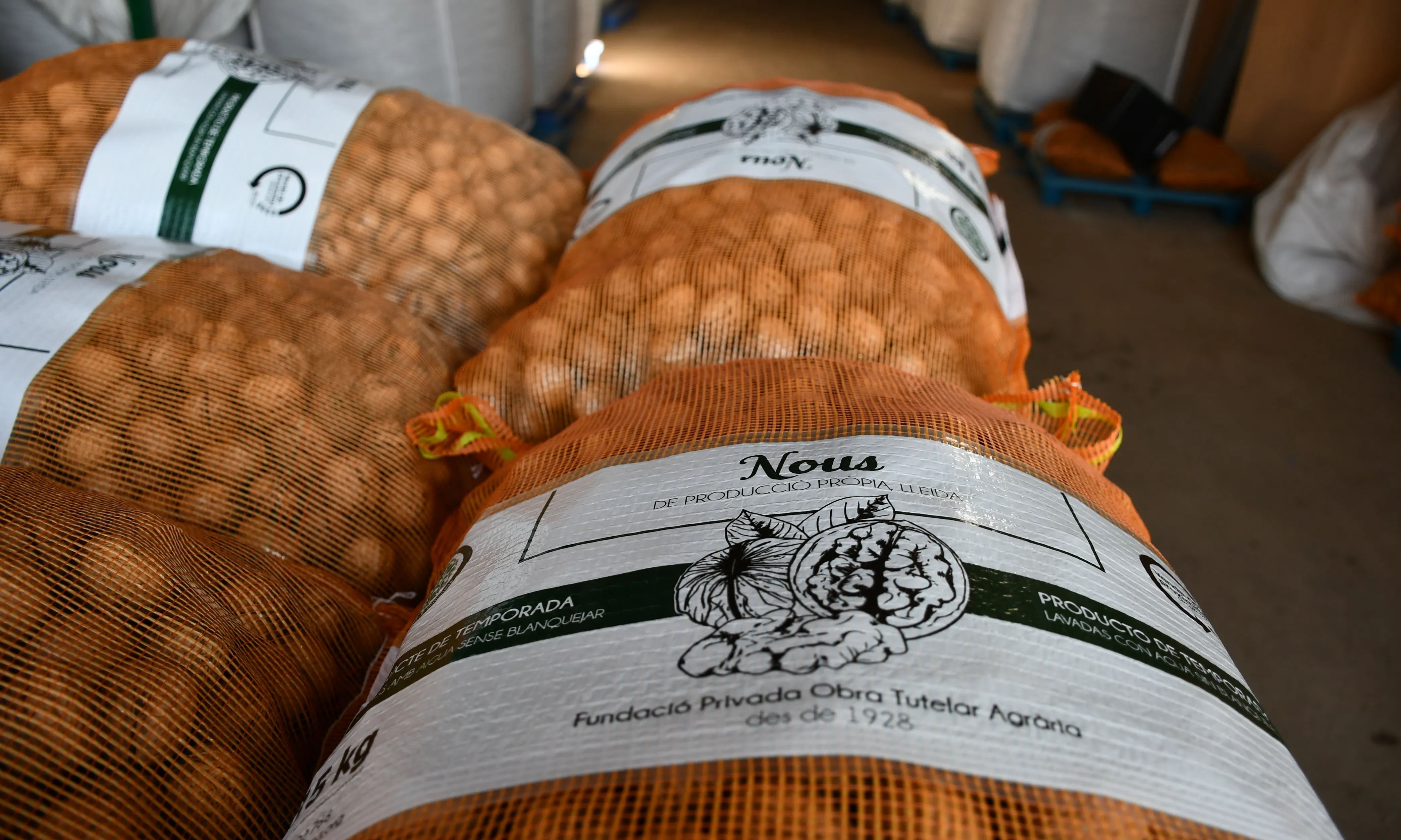 Alguns dels seus productes són les nous de Lleida i la mongeta de ganxet. Font: Suport Tercer Sector.