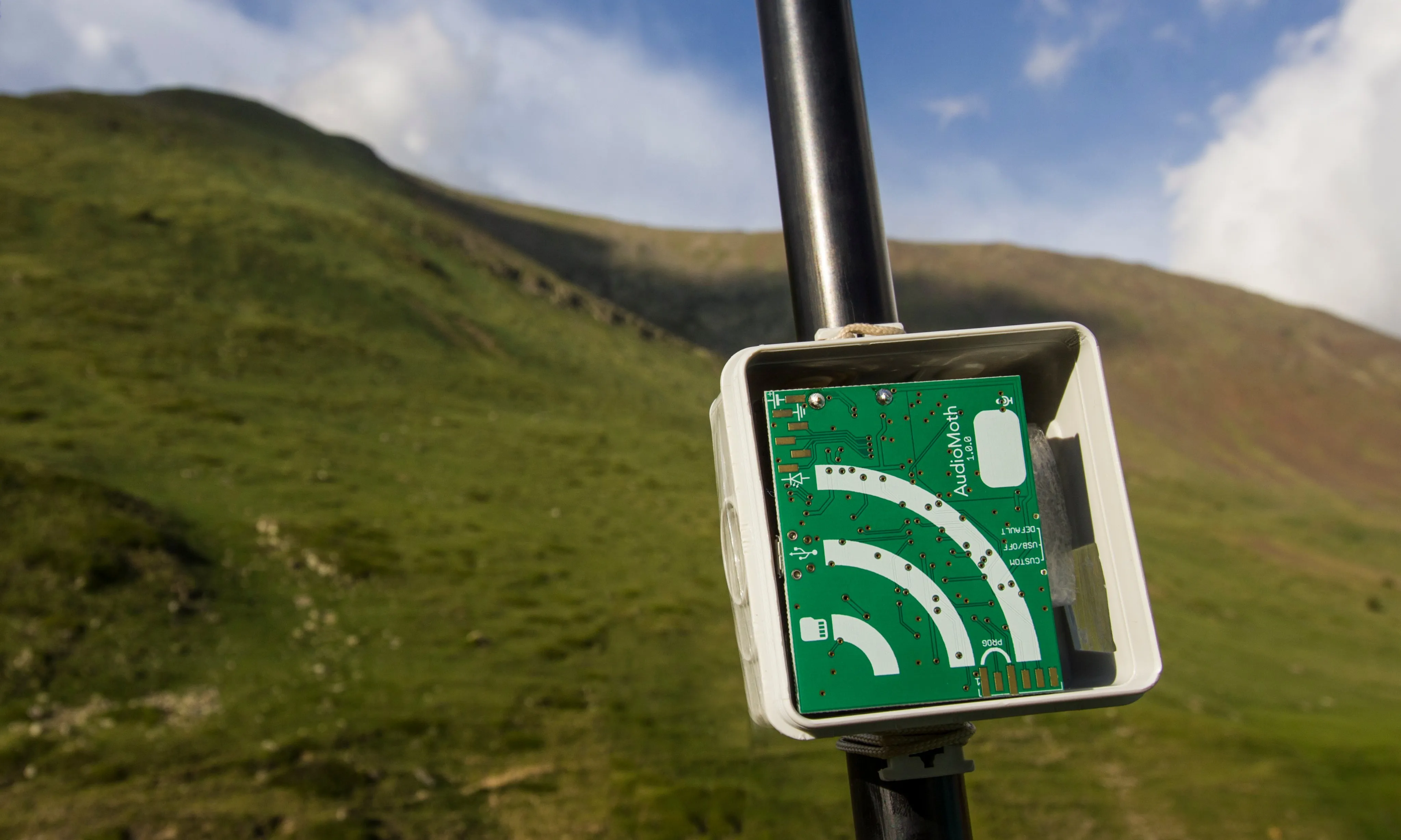 Els detectors d'ultrasons automàtics permeten capturar mostreigs acústics de ratpenats i agrupar-los per espècies.