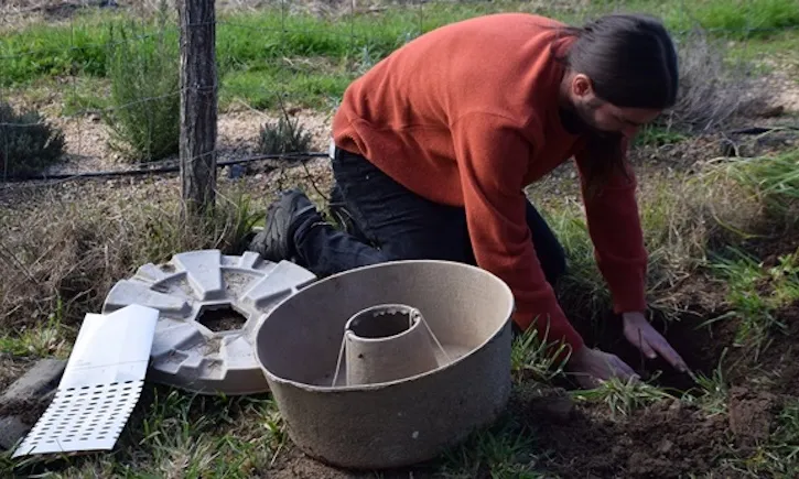 Plantació d'un plançó amb 'cocoon'