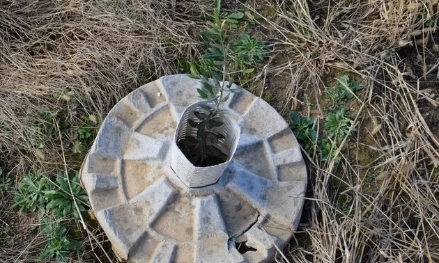 Dispositiu del dònut biodegradable