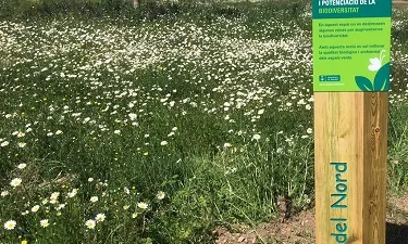 Parc nord de Sabadell, un dels punts forts verds de la ciutat.