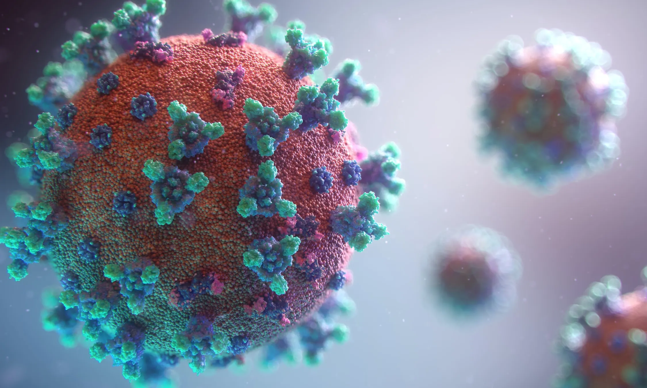 Imatge virus Covid-19