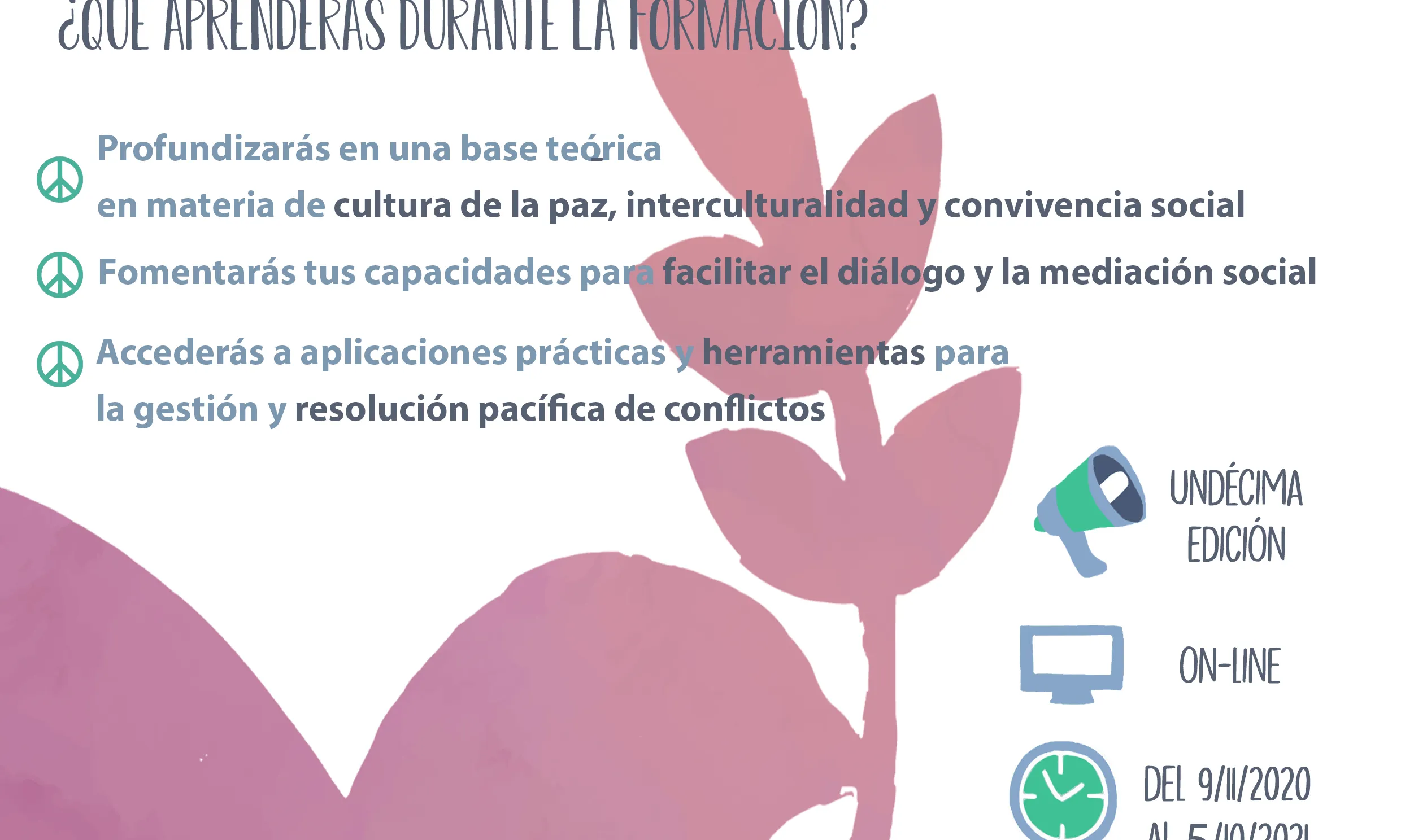 Informació sobre el Postgrau en Cultura de la Pau