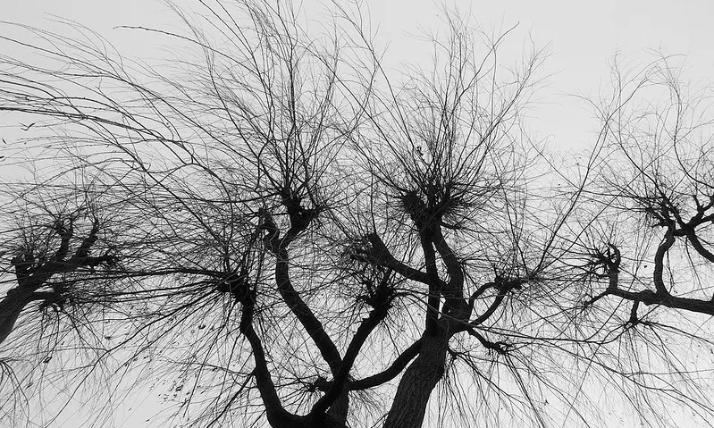 Fotografia d'una simulació de neurones. Imatge de Damien Walmsley. Llicència de CC BY-NC 2.0
