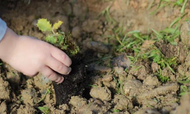 L'equip de voluntaris i voluntàries farà un seguiment de les plantades i les regarà periodicament.
