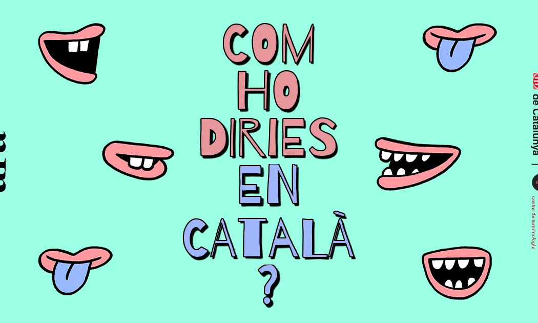 El joc, iniciativa de la Direcció General de Política Lingüística, estarà accessible fins a finals d'any.