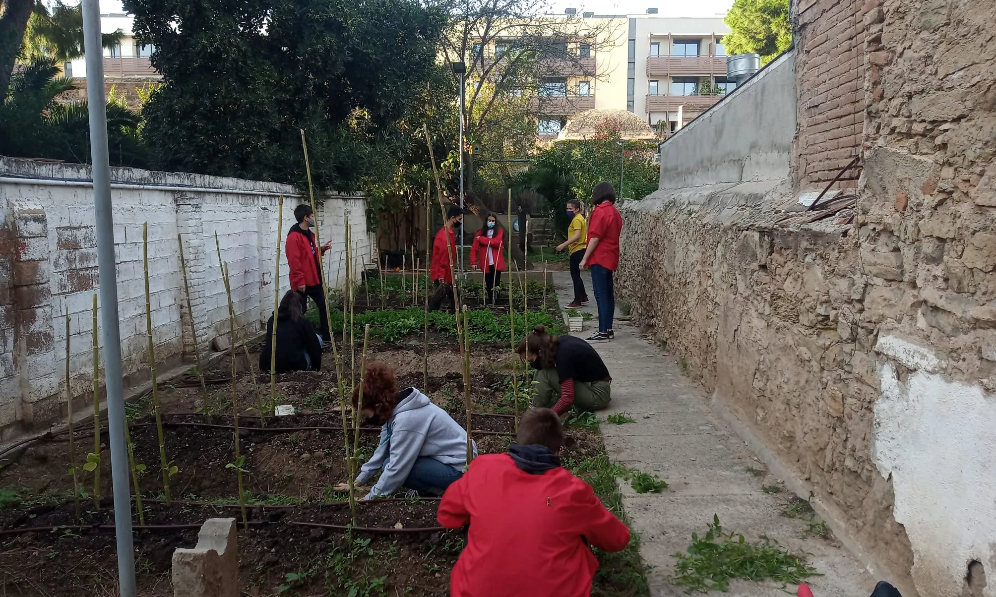 Projecte Hort Ecològic de Dalt de la Vila de l'AEiG Jaume Ortiz