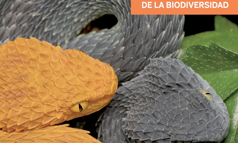 XVI edició de Premis a la conservació de la biodiversitat XVI edició de Premis a la conservació de la biodiversitat