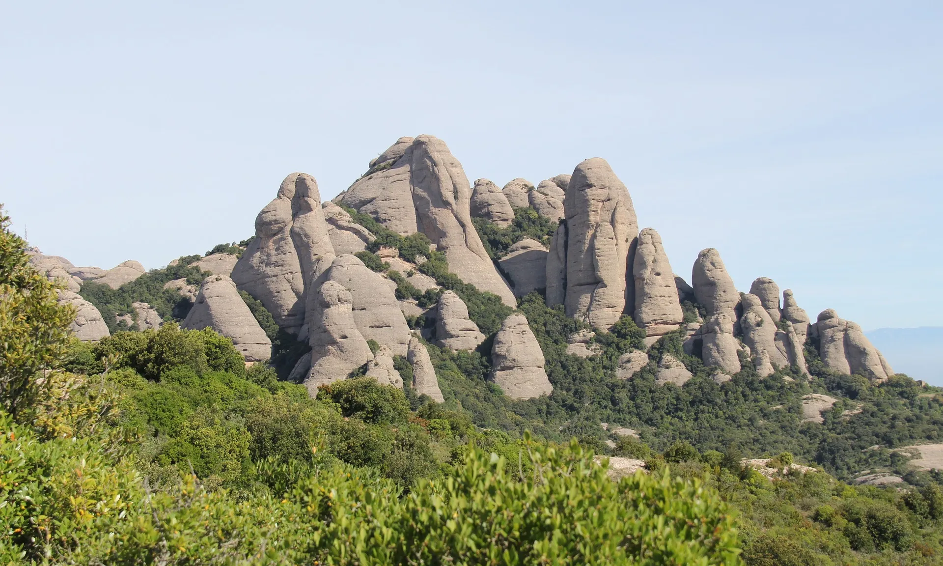 Ecologistes de Catalunya denuncia un “retrocés ambiental” a Catalunya i demana un nou Departament de Medi Ambient.