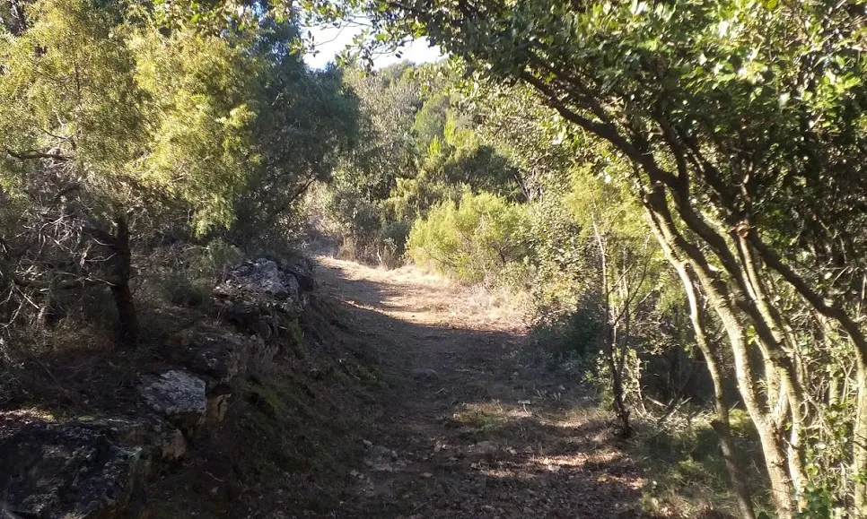 La brigada de senders es dedicarà a la recuperació de senders i camins de ferradura.