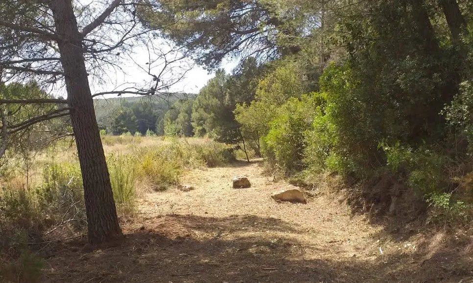 Nuez va arribar a la conclusió que fan falta més camins, quelcom que el va portar a engegar l'entitat.