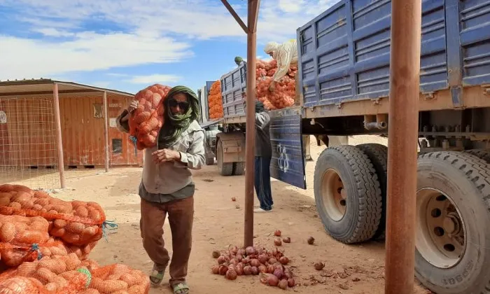 La iniciativa s'emmarca en el projecte de ‘Protecció de la població refugiada sahrauí davant la Covid-19’.