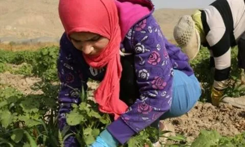 Bloody Basil, d'Elia Ghorbiah, és un dels curmetratges que es poden veure a Tasharuk.