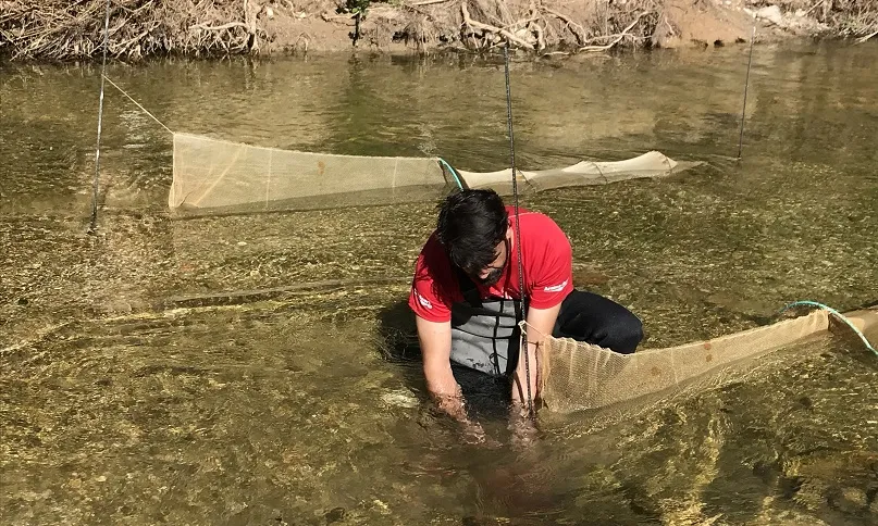 La Sínia treballa per la conservació de la biodiversitat vinculada a l’entorn fluvial del riu Gaià.
