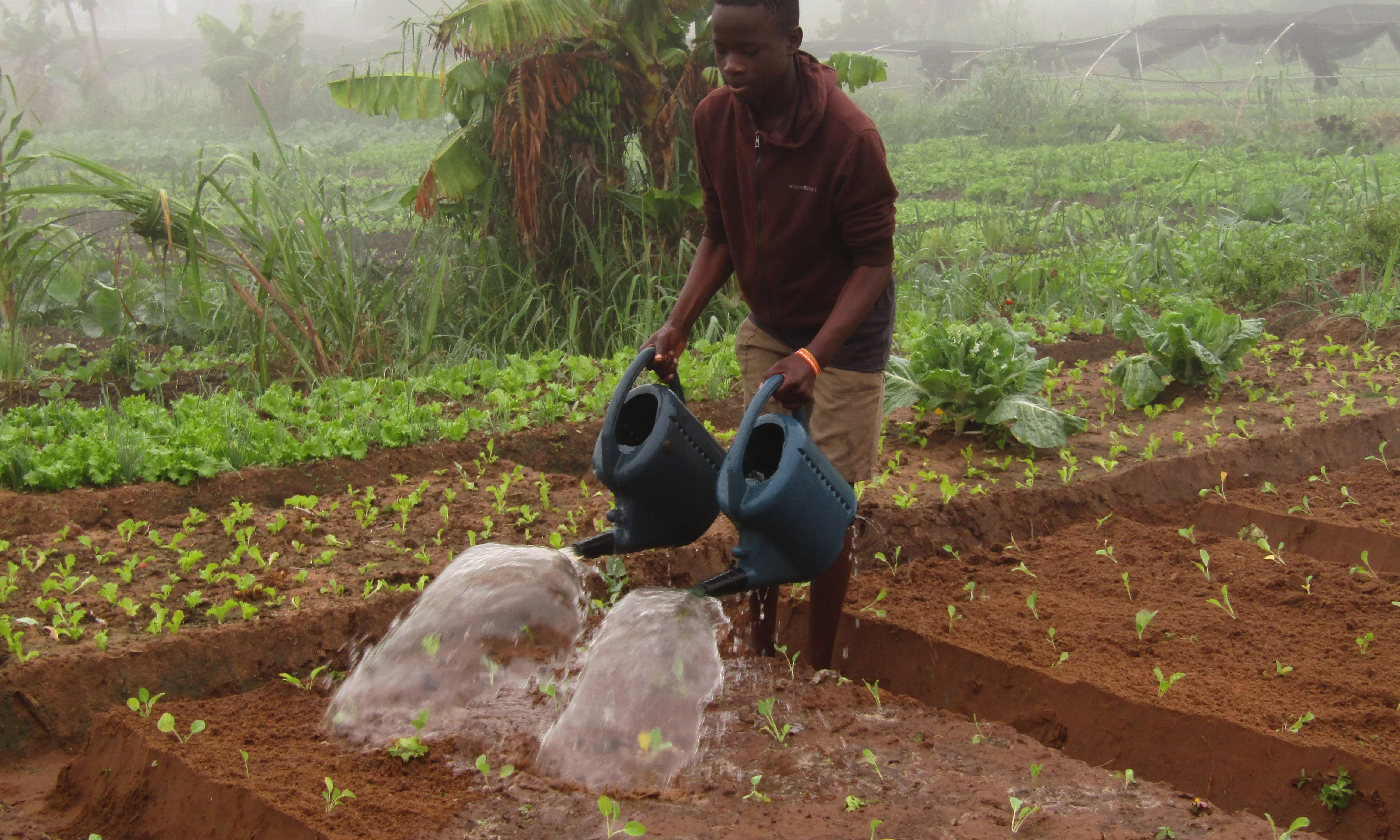 La fundació facilita a les persones joves la possibilitat de disposar d’una primera empenta en el seu projecte d'autoocupació.