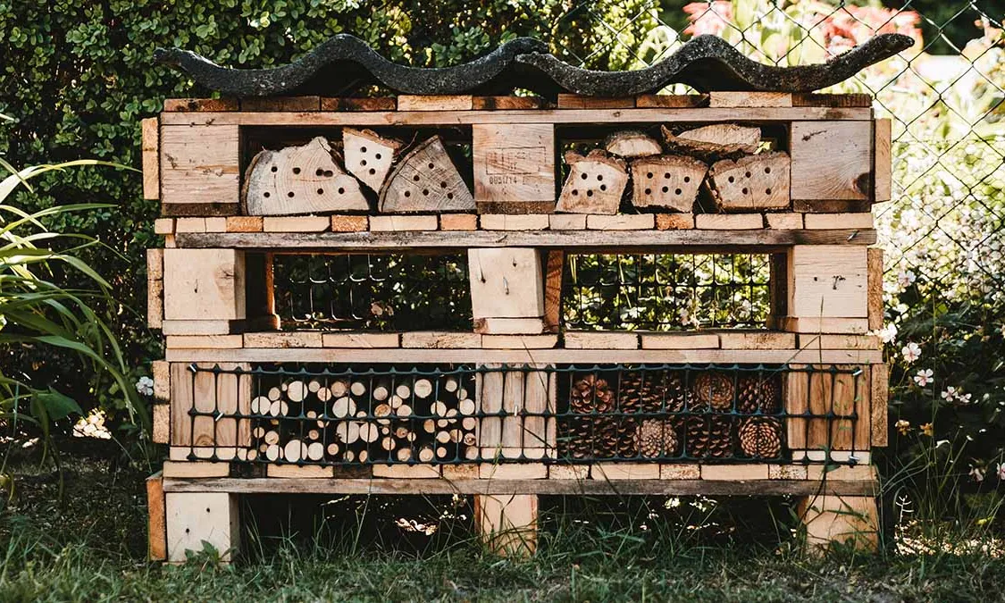 A través de Replantagem, la Mariona Ferrandiz ha dut a terme tallers molt interessants. Un d'ells per aprendre a fer un hotel d'insectes al balcó o jardí.