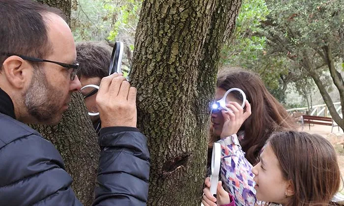 Les experteses de l'equip multidisciplinari van de la biologia de la conservació, la fauna, flora, urbanisme i espai públic, a antropologia, art urbà, infància i adolescència.