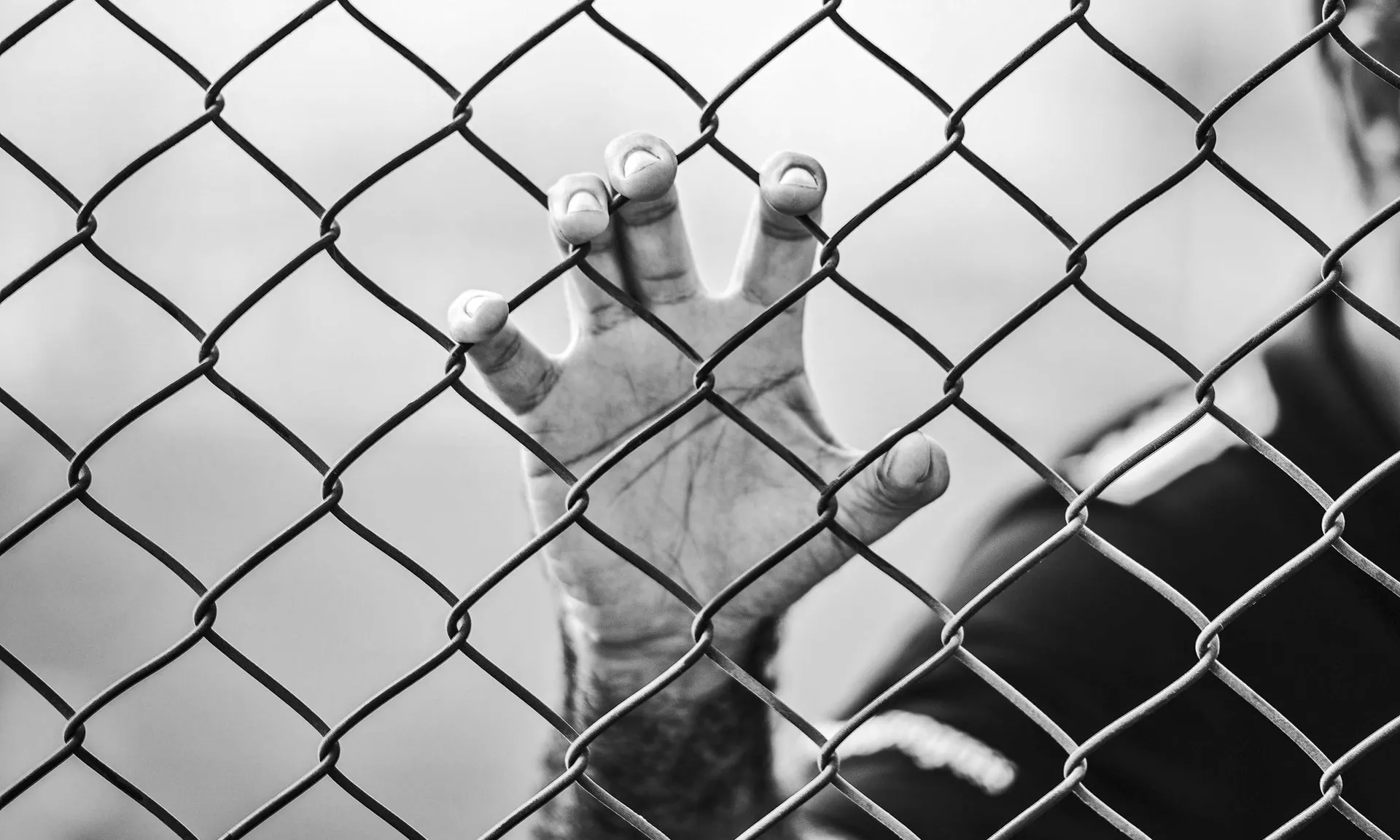 Foto de Milad Fakurian a Unsplash