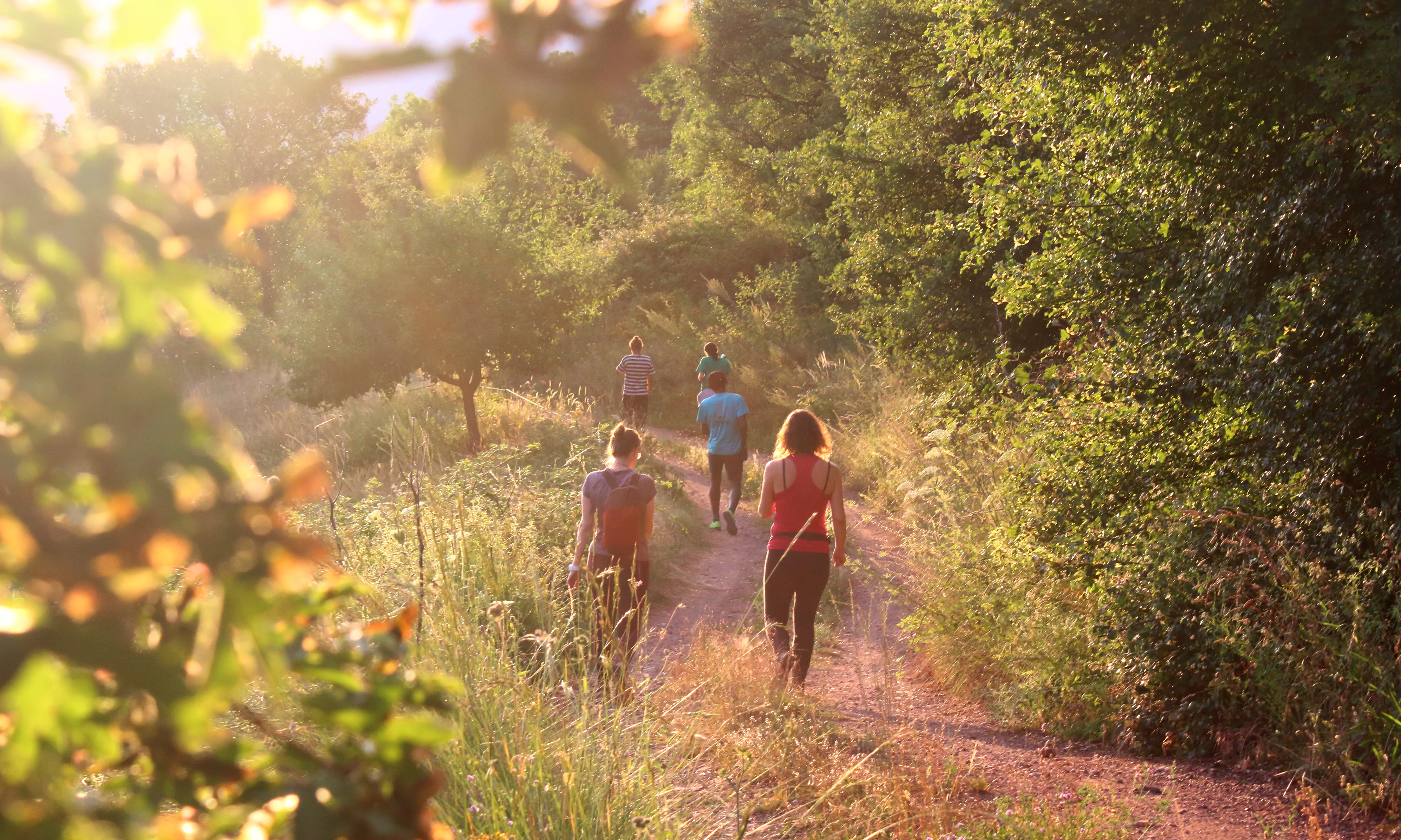 Museu de Camins també organitza camps de treball per fer tasques de recuperació i manteniment de camins antics i murs o empedrats de pedra seca.