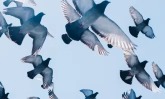 Foto de Zac Ong a Unsplash