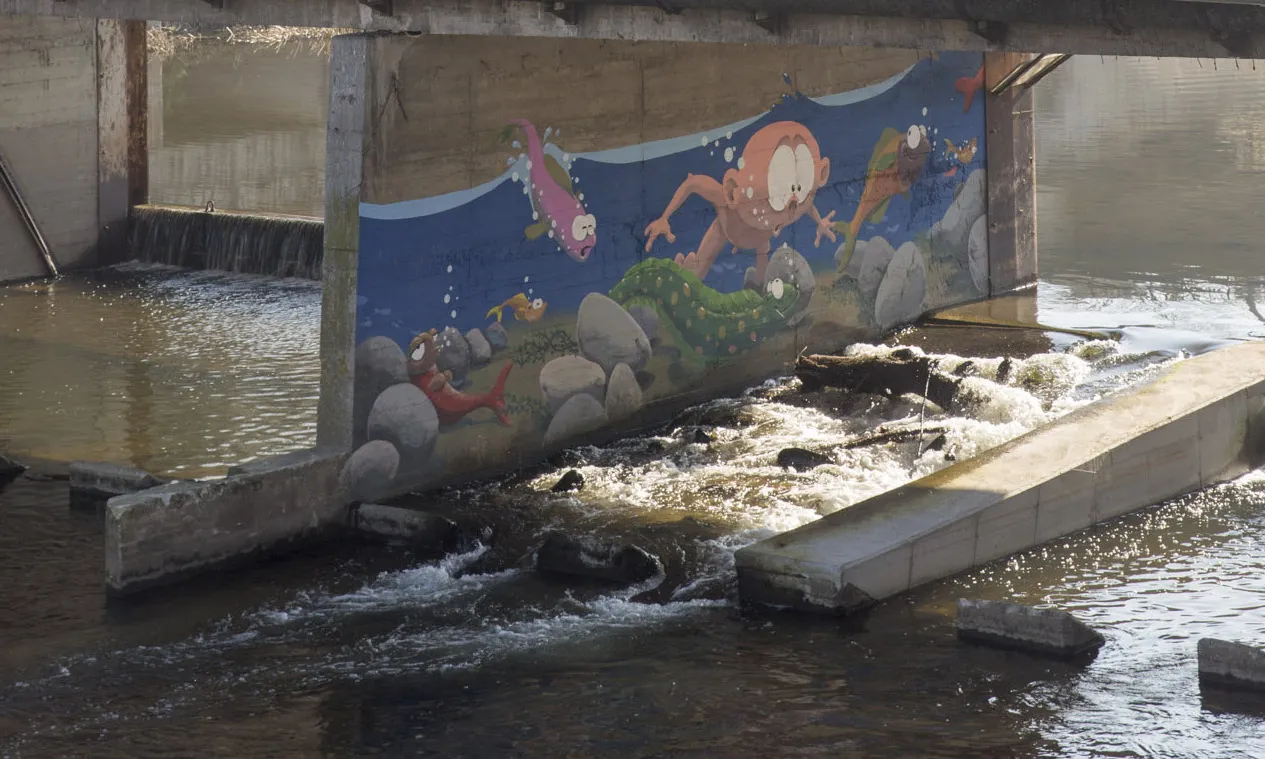 A més, el projecte busca la implicació de la ciutadania en les tasques de renaturalització.