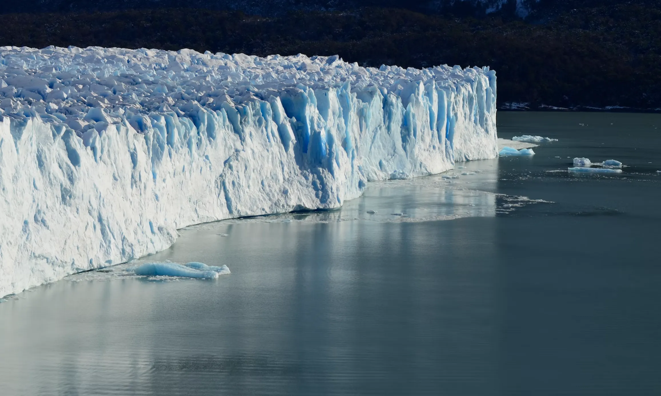 L'objectiu principal és conscienciar sobre la situació d'emergència climàtica i plantejar diverses solucions i actuacions concretes.
