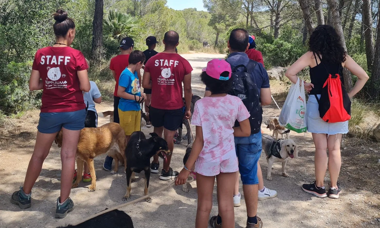 Des de la Fundació Trifolium també treballen per apropar als animals a col·lectius més vulnerables, com els infants o les persones grans.