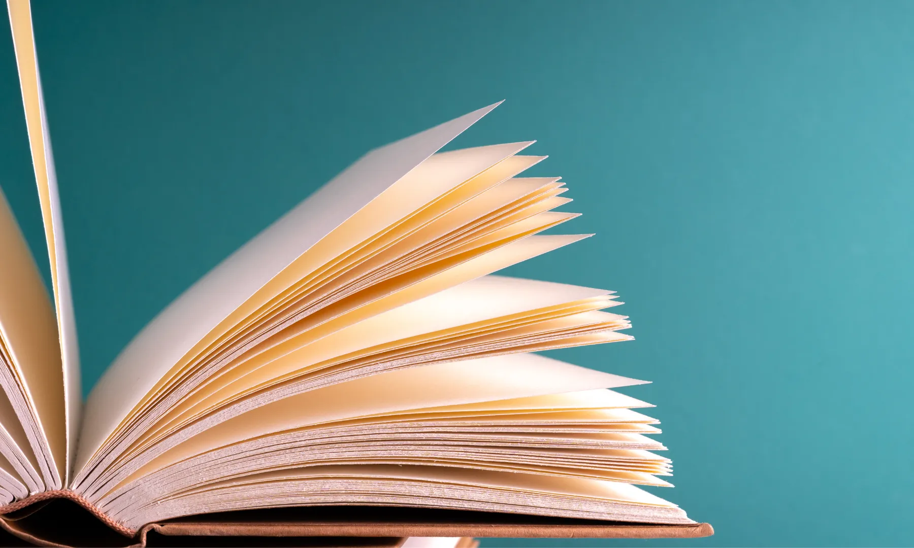 Els llibres infantils poden ajudar al fet que els infants siguin respectuosos i inclusius.