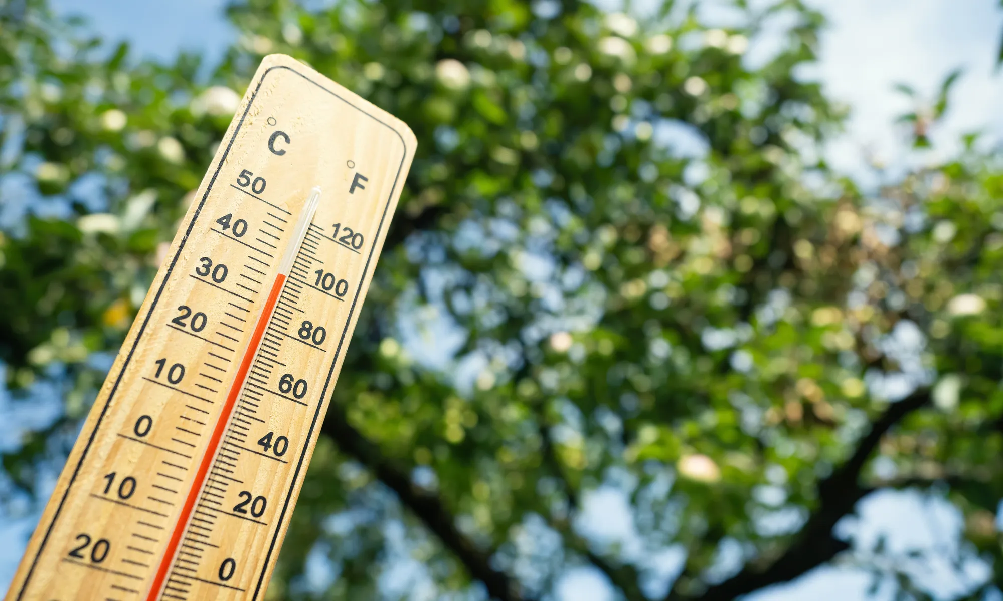 L'estiu passat es van arribar a superar els 40 graus a alguns centres escolars. Font: iStock.