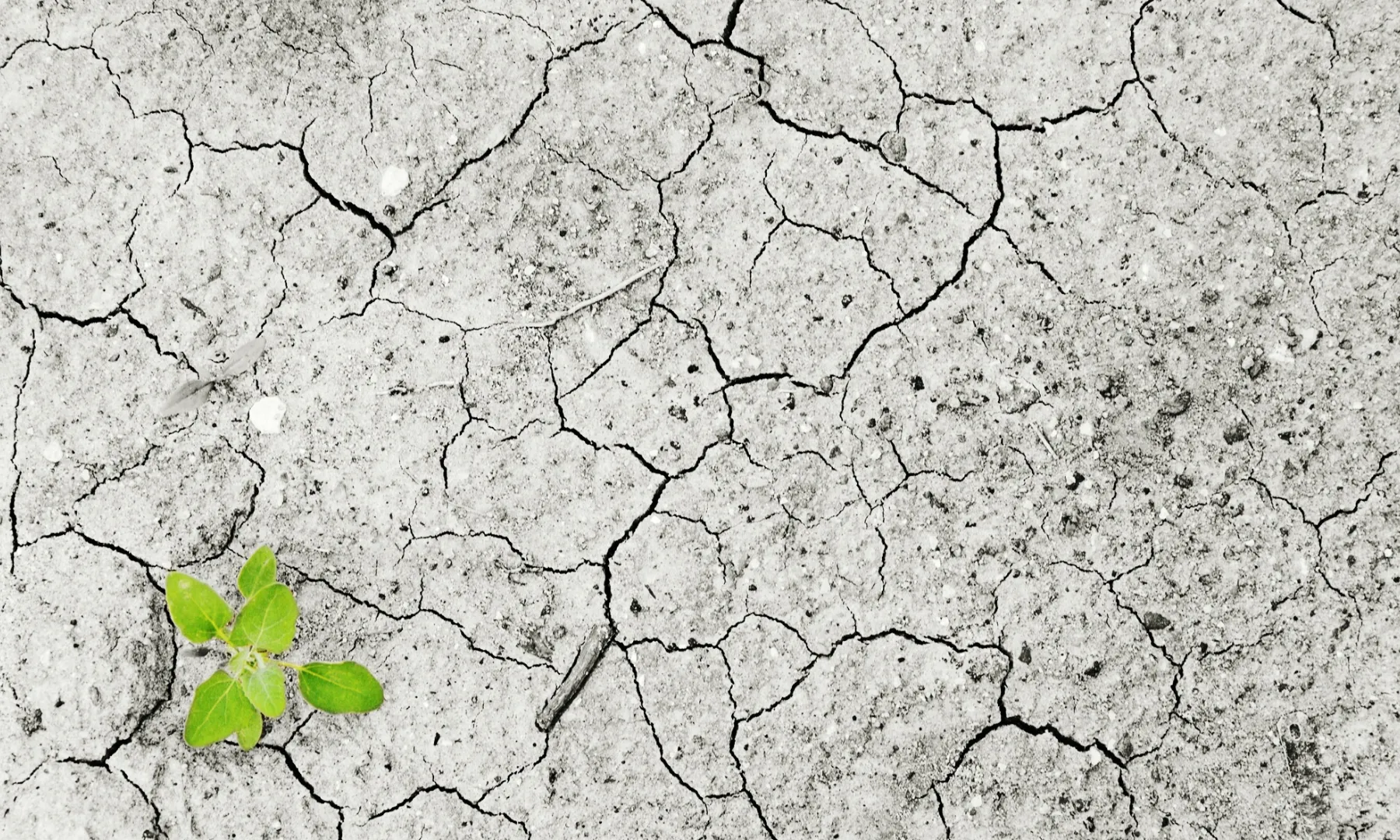 El projecte de l’entitat ‘Educació per la Llibertat’ busca conscienciar al jovent per aconseguir un món millor. 