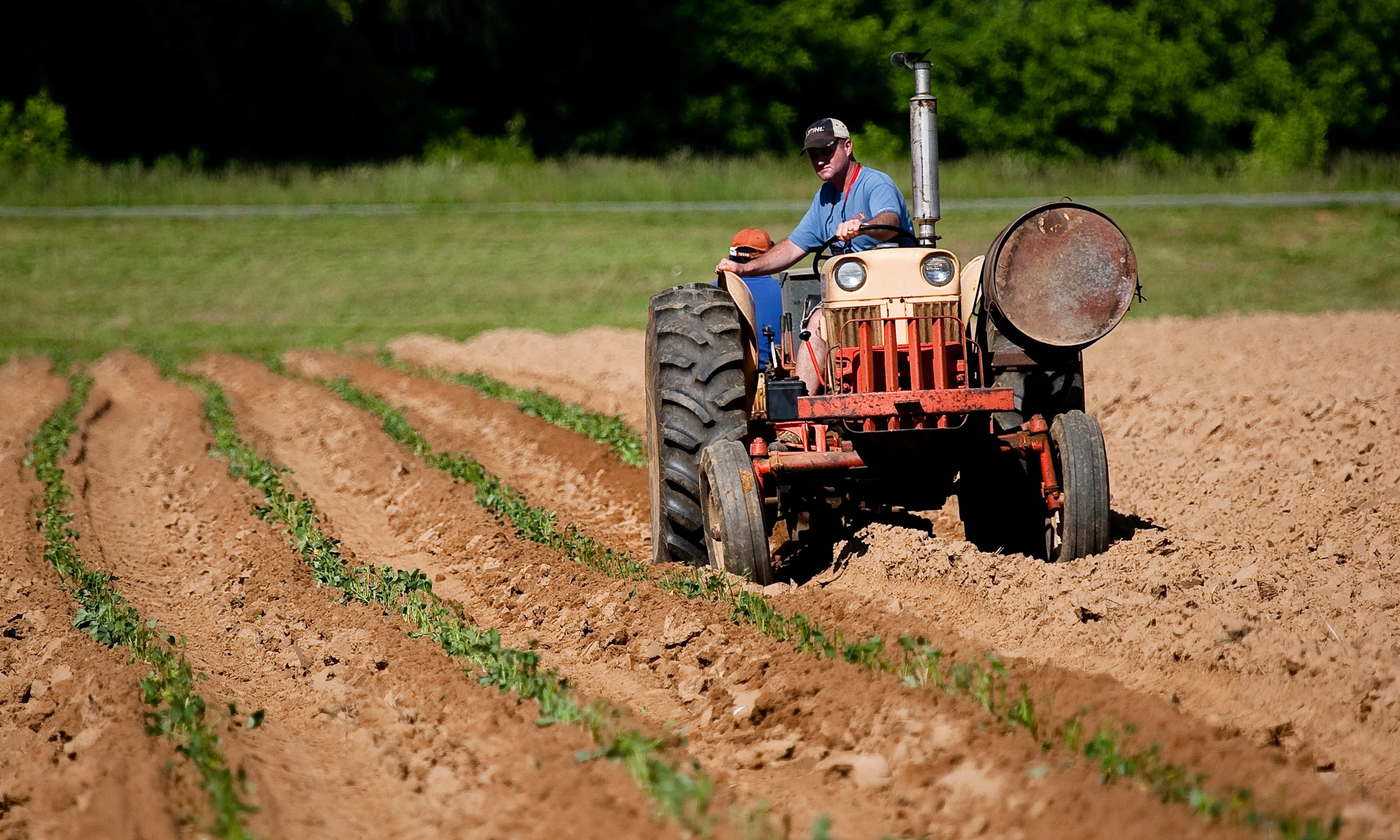 Persona llaurant un camp amb un tractor. Font: Pexels - Mark Stebnicki