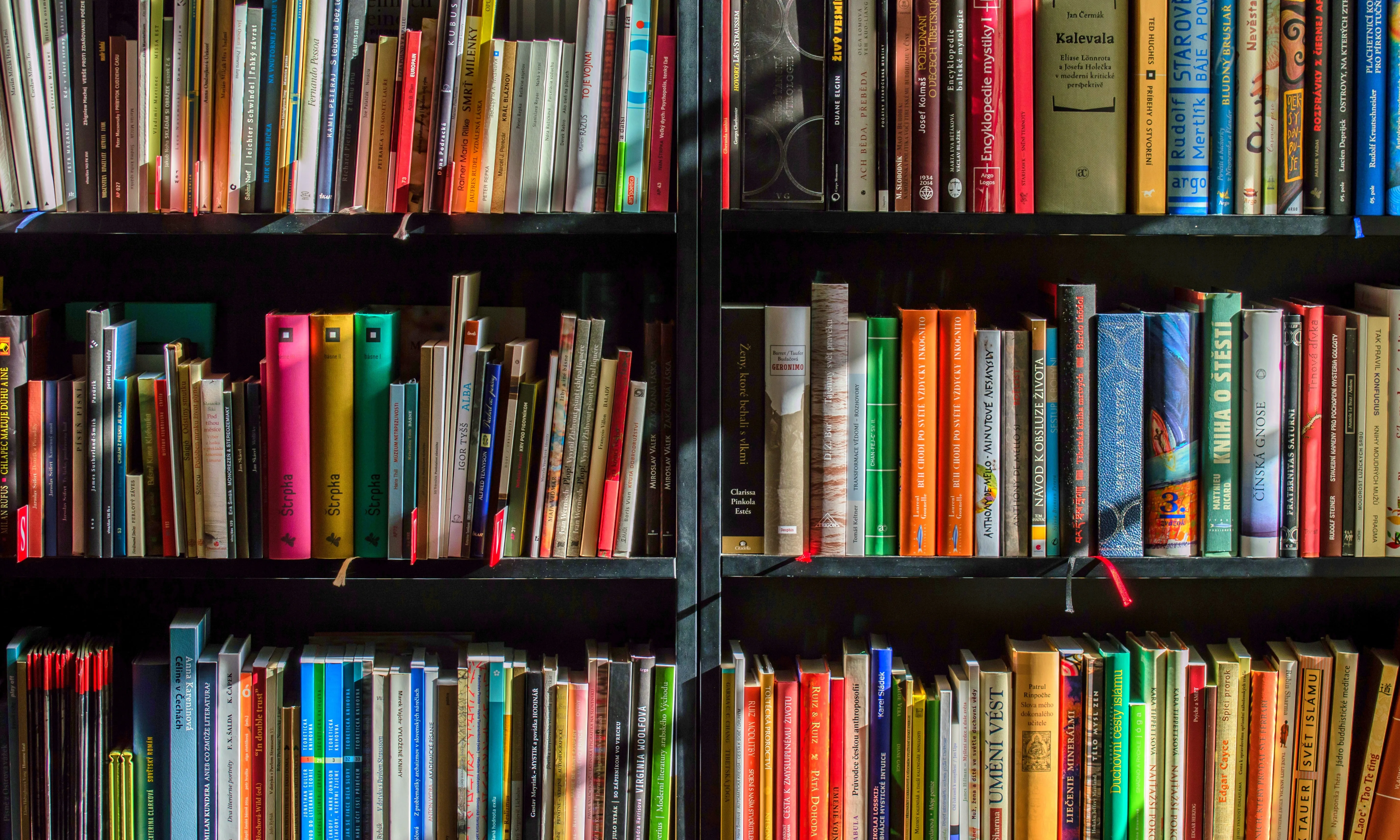 Llibreria amb llibres variats. Font: Pixabay Llibreria amb llibres variats. Font: Pixabay