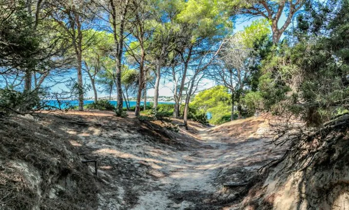 El Bosc de la Marquesa a Tarragona, espai subjecte a un acord de custòdia del territori per garantir-ne la conservació 