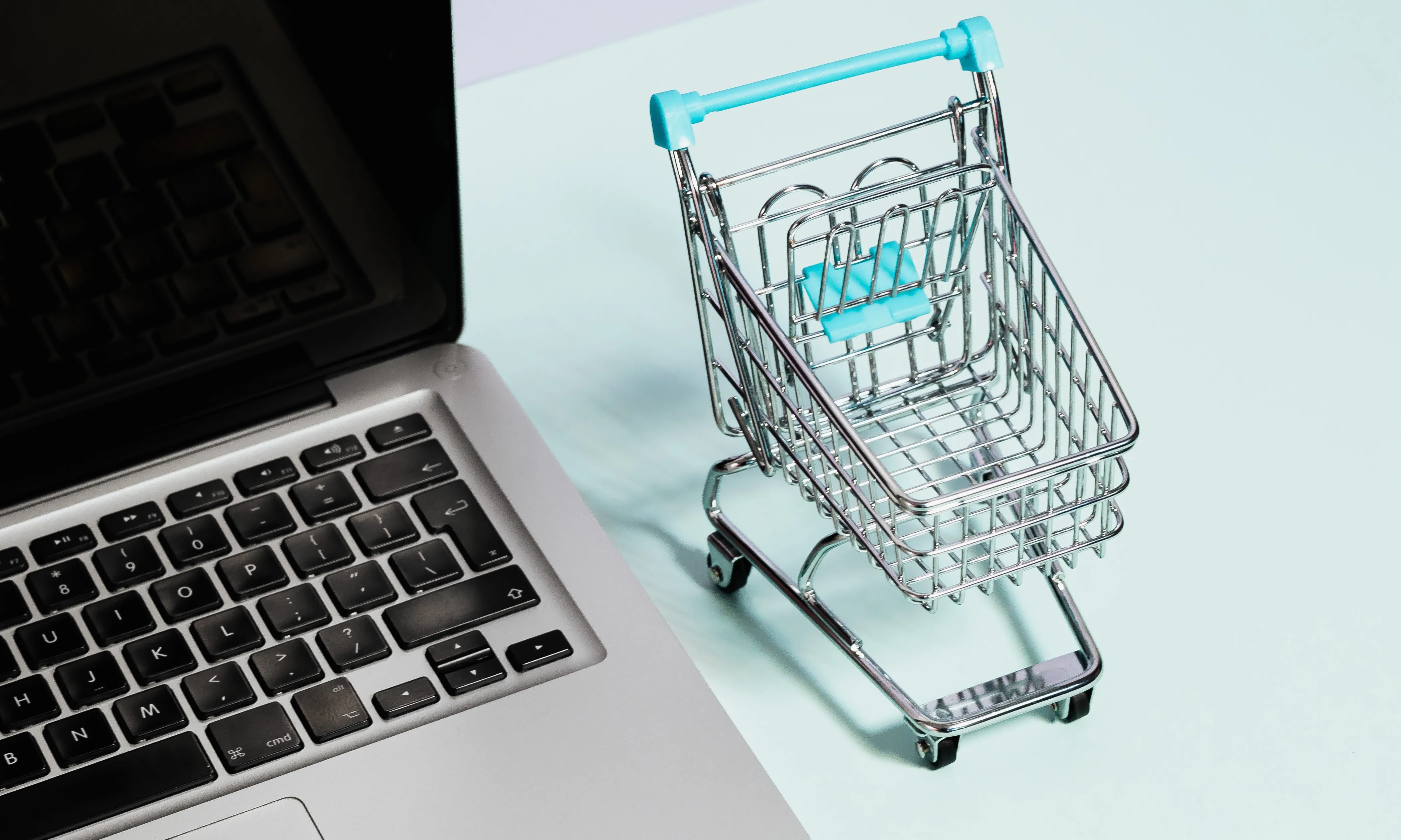 Ordinador, diners i carro de la compra
