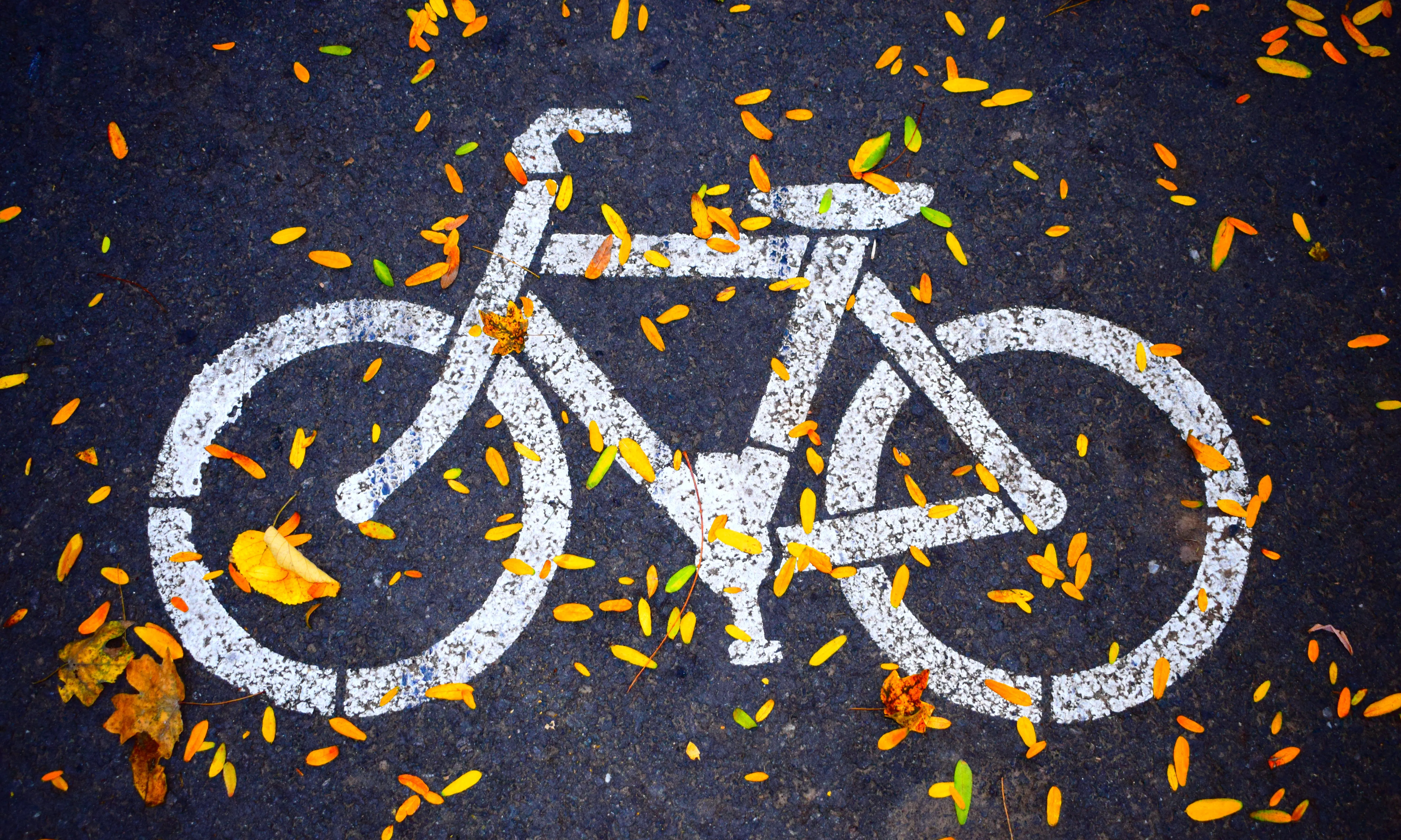 Dibuix de bicicleta pintat a l'asfalt. Font: Pexels - Cristiana Raluca