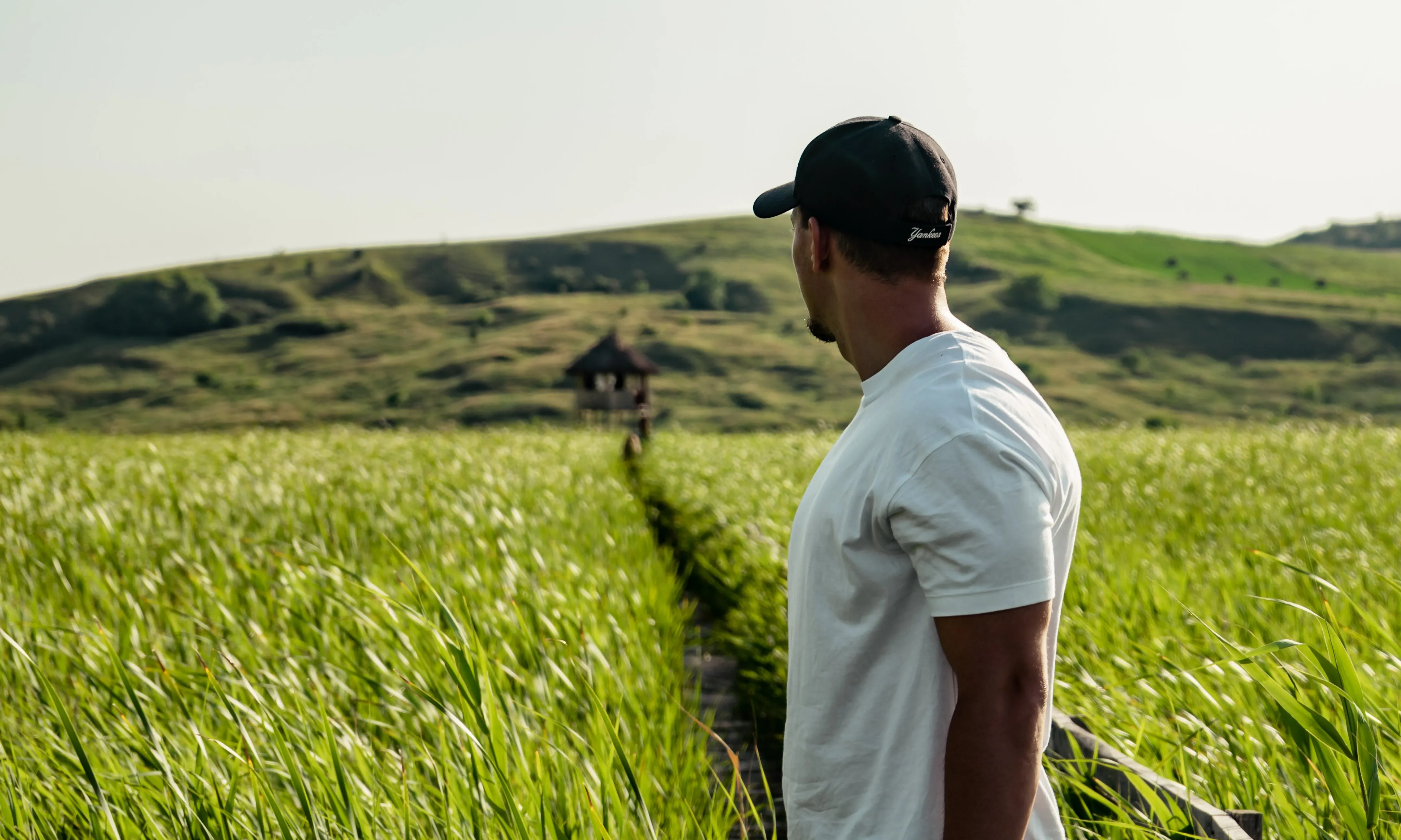Noi mirant un camp de blat. Font: Pexels - Vlad Chețan Noi mirant un camp de blat. Font: Pexels - Vlad Chețan