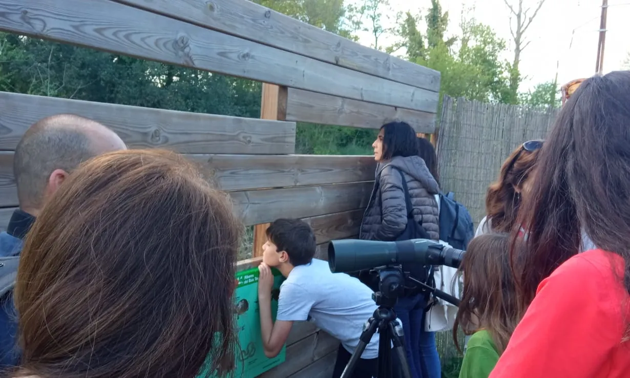 Coordinen programes de natura per infants i joves durant les vacances escolars de primavera i estiu