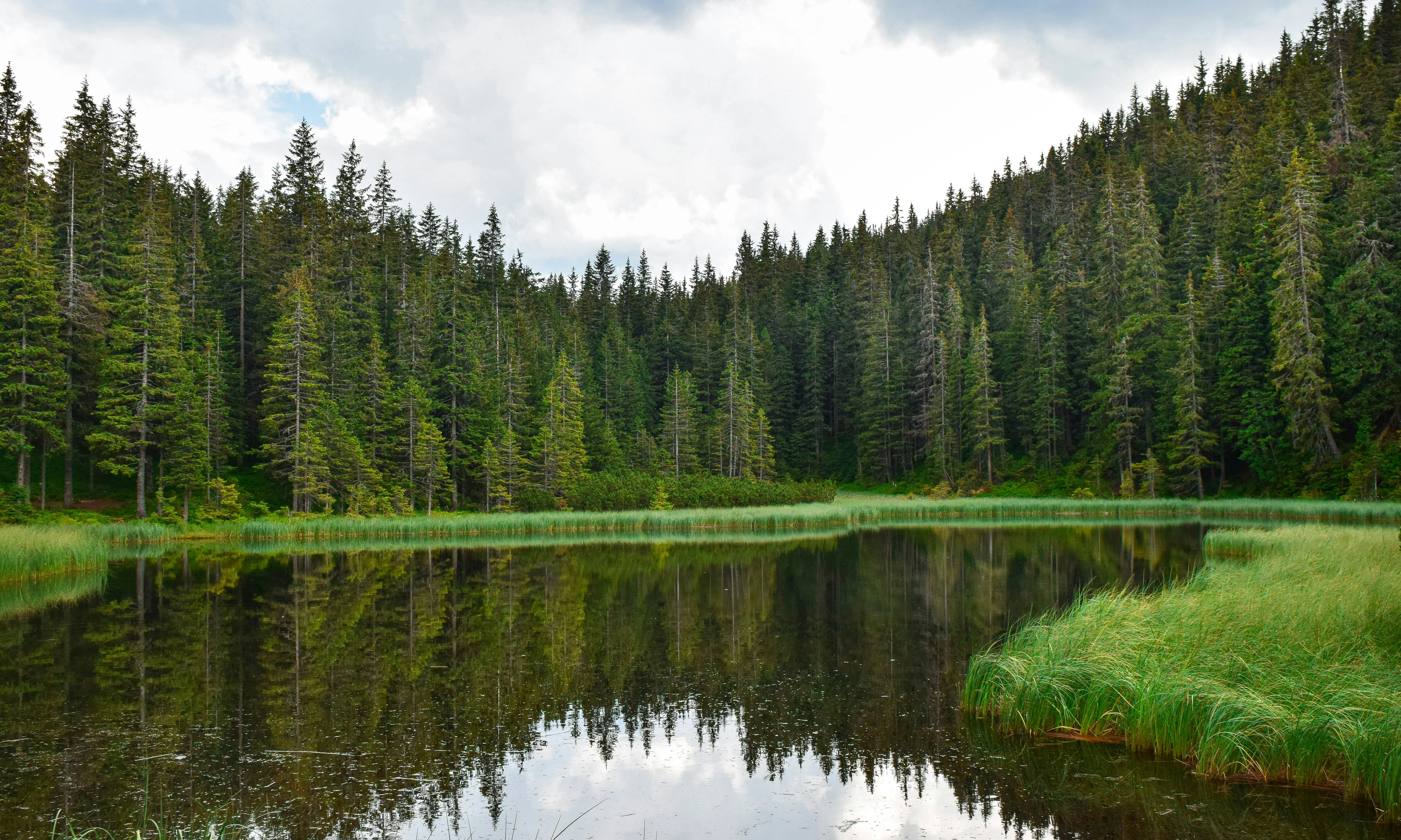 La llei per impulsar la creació de l’ANACAT es va aprovar al Parlament de Catalunya el juliol del 2020.