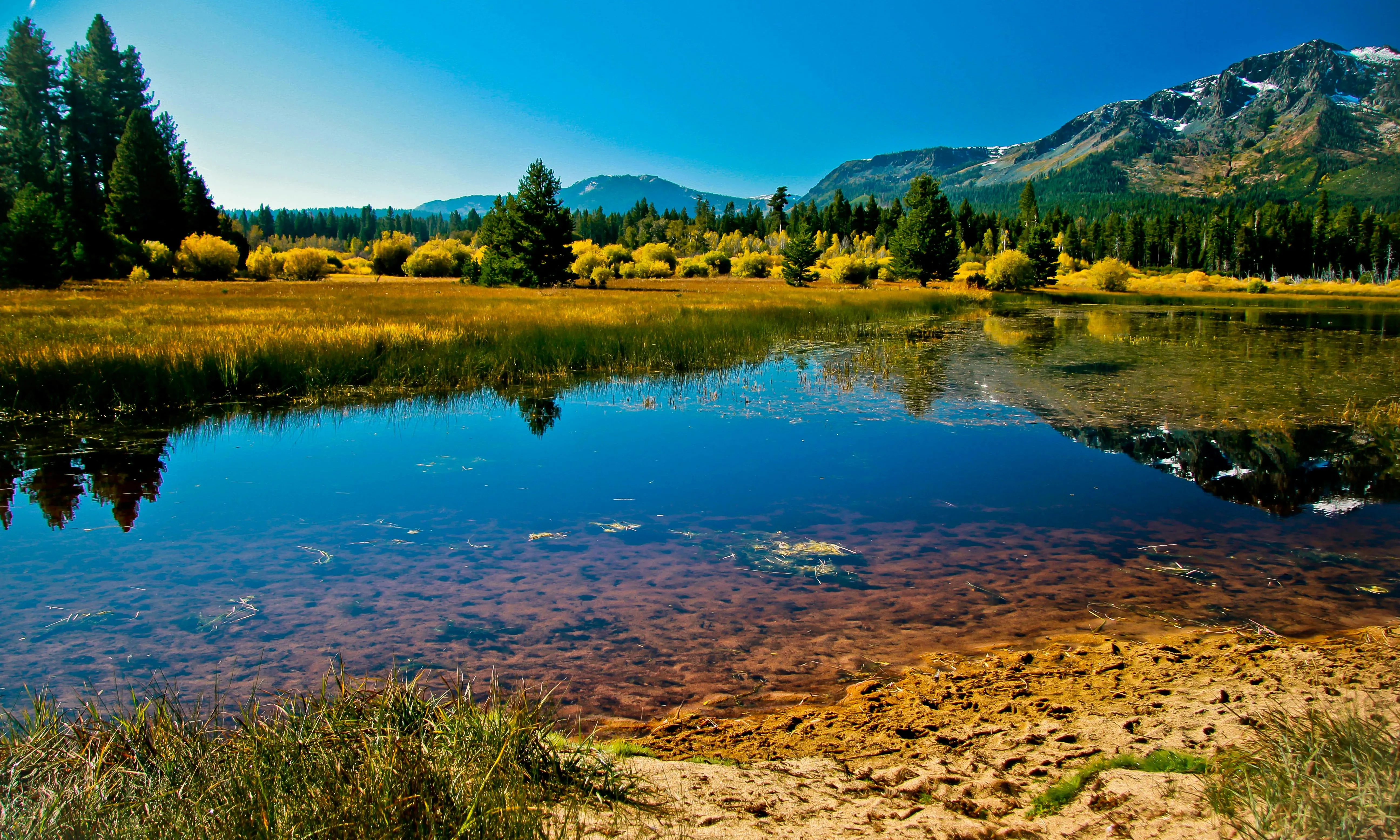 Llacuna en un espai natural. Font: Pixabay
