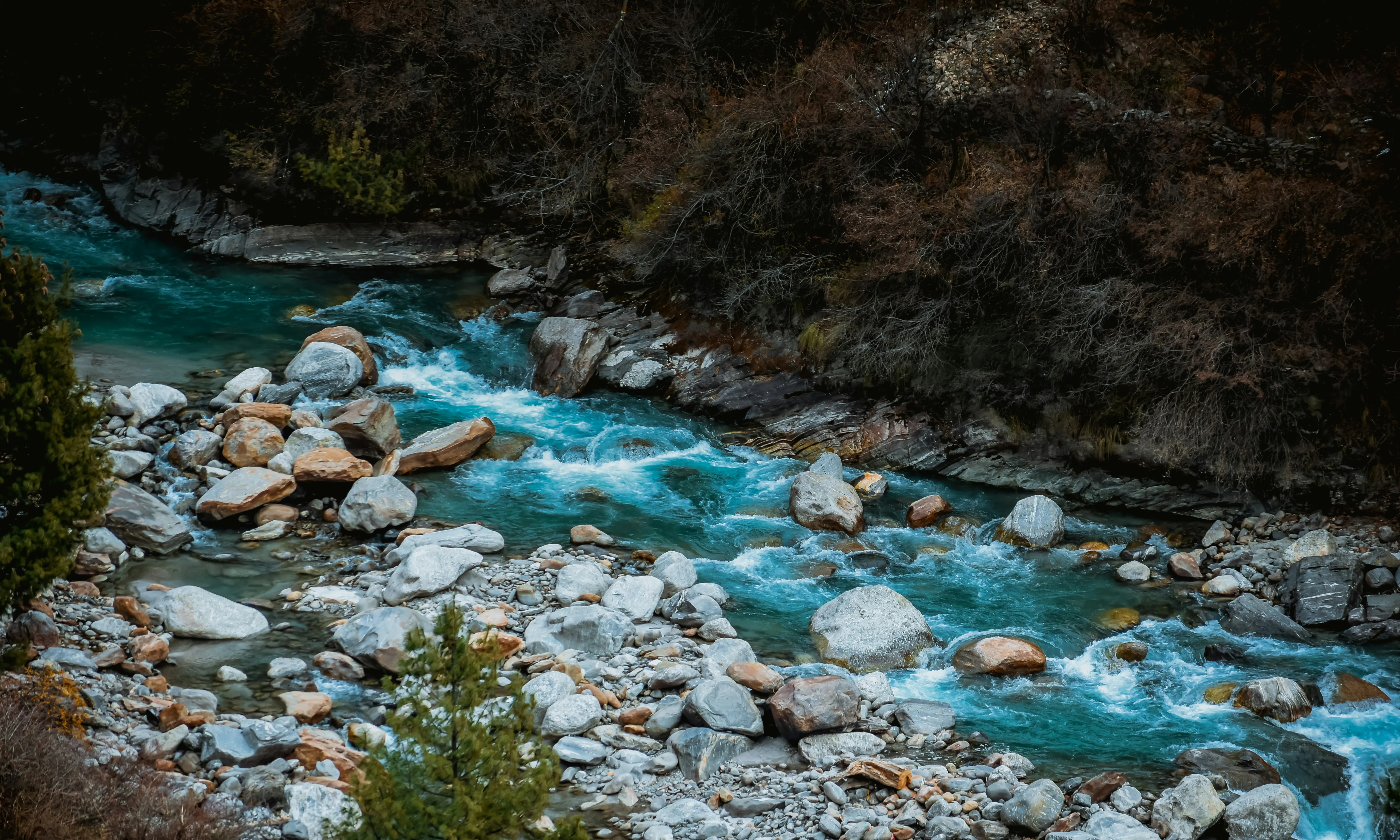 L'ANACAT ha emergit des de fa anys com una reivindicació històrica i urgent per part de les organitzacions ambientals.