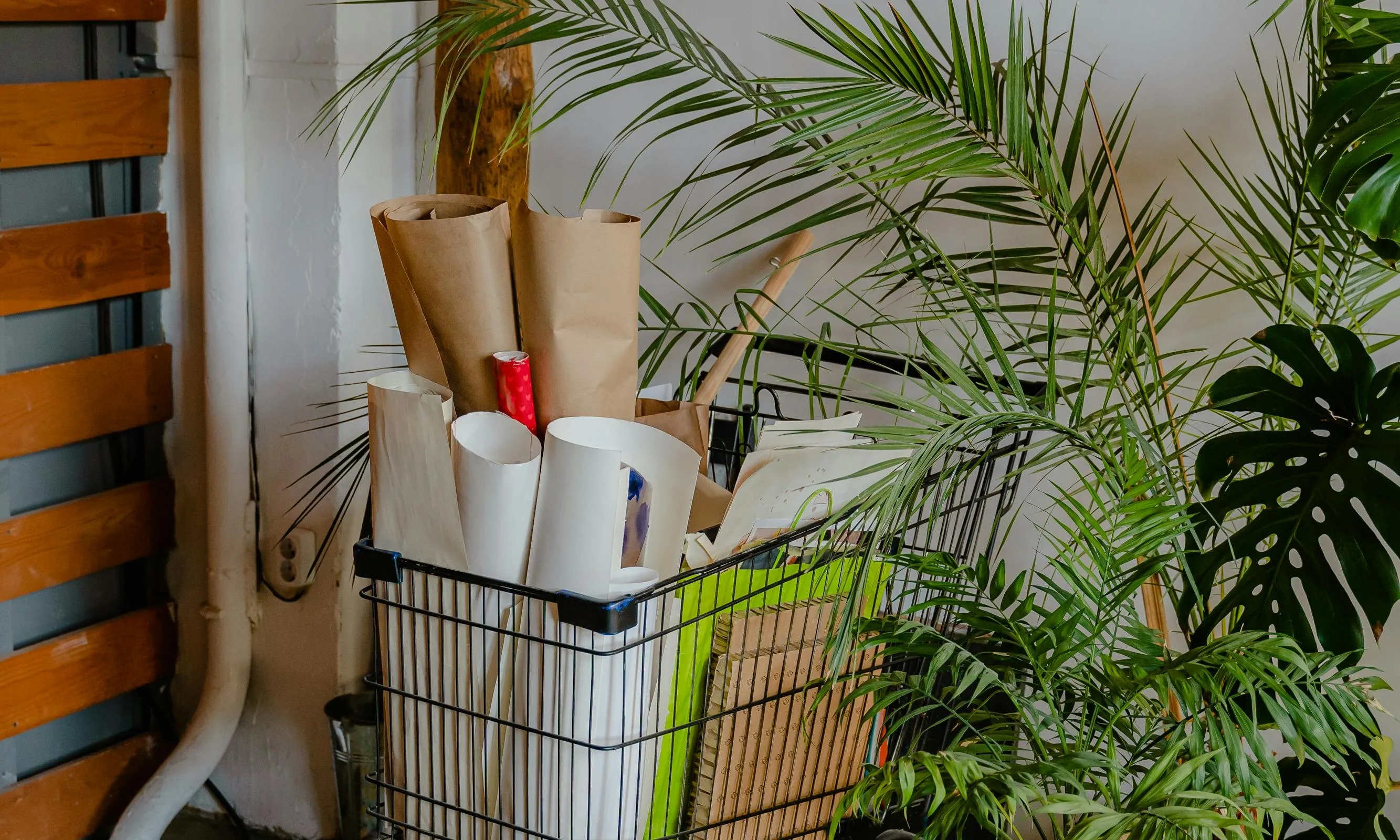 Carret de la compra amb cartells. Font: Pexels - Antoni Shkraba
