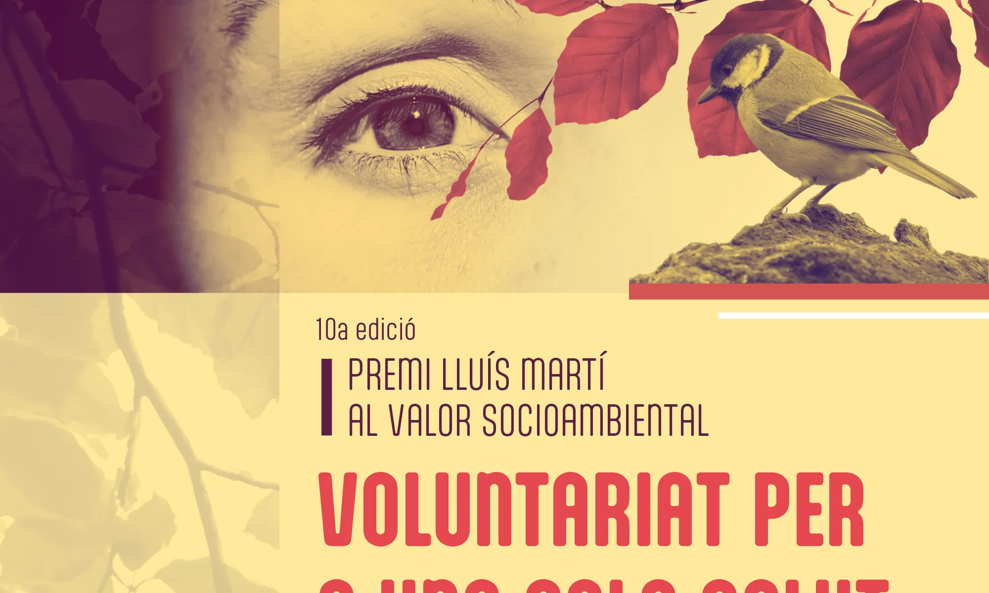 Cartell del premi. Font: Federació Catalana de Voluntariat Social