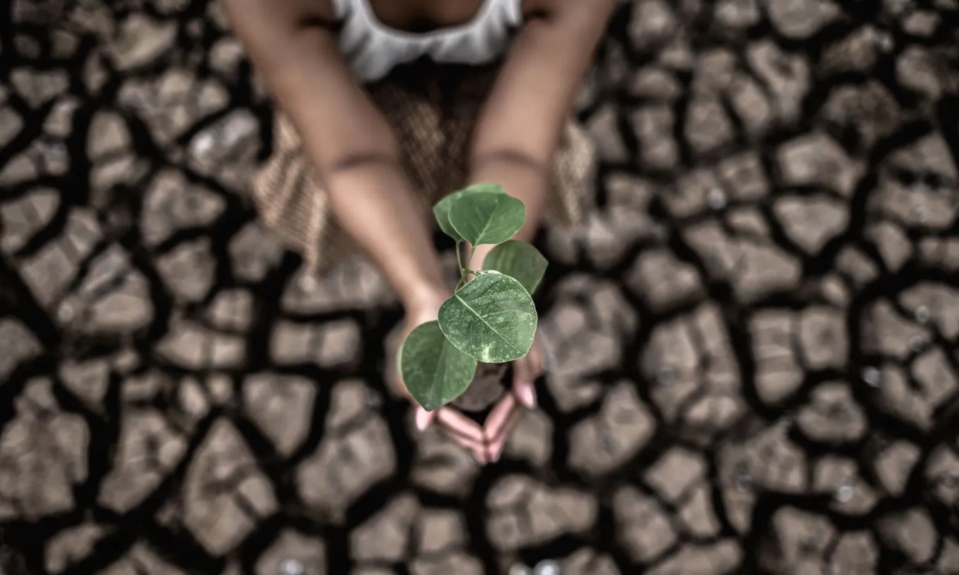 L'ONU dona veu als infants en la lluita climàtica i insta els estats a protegir els seus drets davant la crisi ambiental.