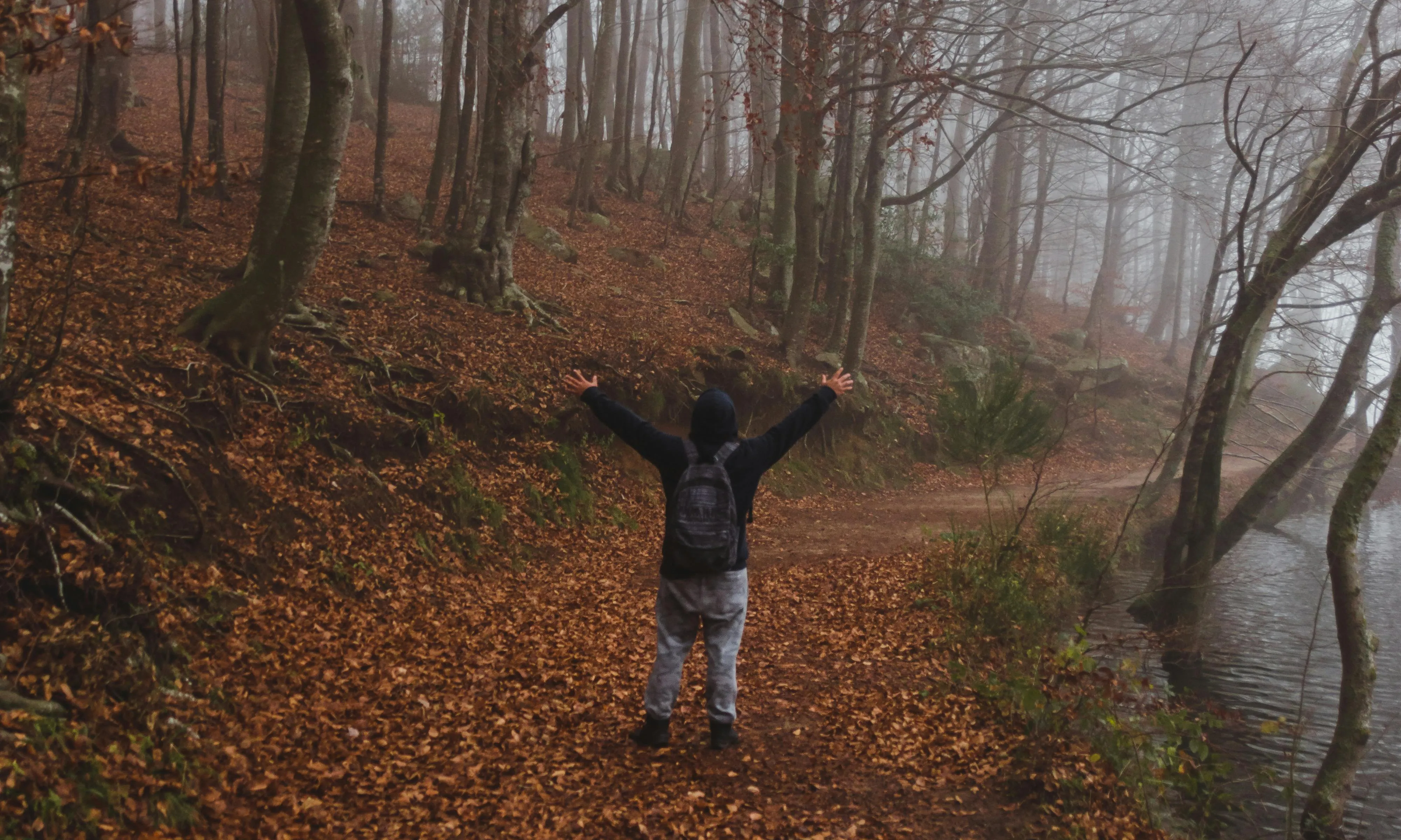 Persona en un camí en un bosc amb fulles de tardor aixecant els braços