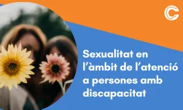 Cartell del curs. 