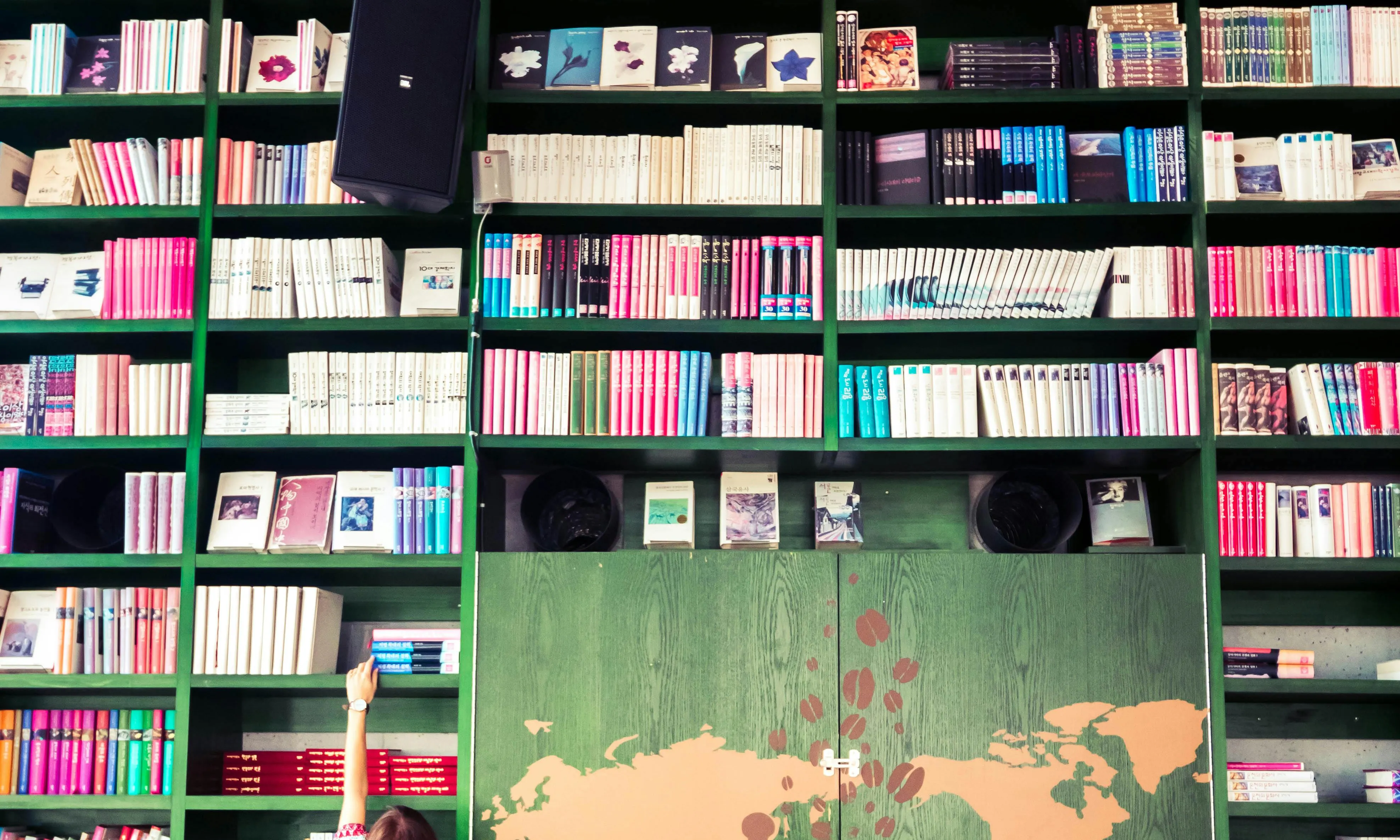 Noia agafant un llibre en una paret alta plena de prestatgeries i llibres Noia agafant un llibre en una paret alta plena de prestatgeries i llibres